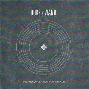 Duke Garwood & Wooden Wand - Duke / Wand mp3 album