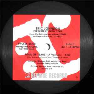 Eric Johnson - Trail Of Tears mp3 album