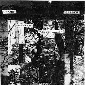 Fossils - Dark Wood mp3 album