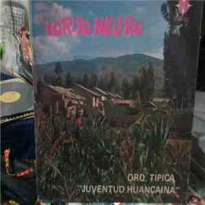 Orquesta Tipica Juventud Huancaina - Torito Negro mp3 album