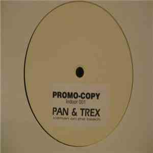 Pan & Trex - Iceman On The Beach mp3 album