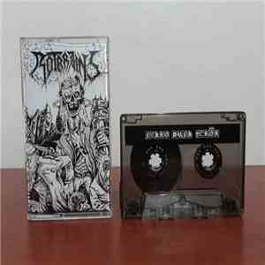 Rötbrains - Nekro Punk Terör mp3 album