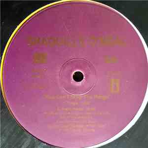 Shaquille O'Neal - You Can't Stop The Reign mp3 album