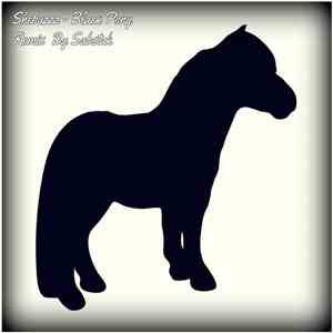 Shebuzzz - Black Pony mp3 album