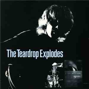 The Teardrop Explodes - You Disappear From View mp3 album