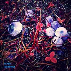 V Sabo - Toadstool mp3 album