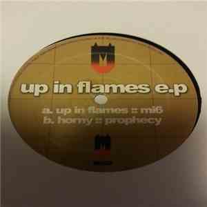 Various - Up In Flames EP mp3 album
