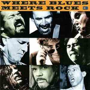 Various - Where Blues Meets Rock 3 mp3 album