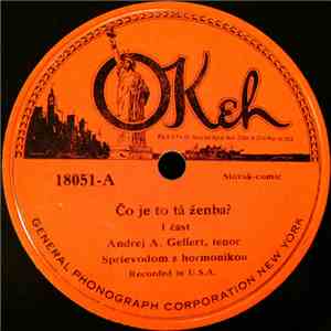 Andrej A. Gellert - Co Je To Tá Ženba? mp3 album