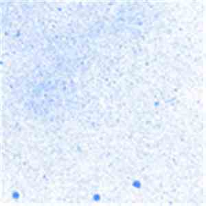 Andrew Paine - Blue Fires mp3 album