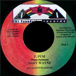 Baby Wayne / Guyanese - P. Pum / Nah Bate Mi Up mp3 album