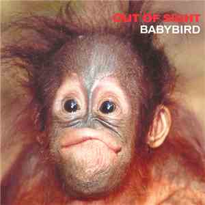 Babybird - Out Of Sight mp3 album