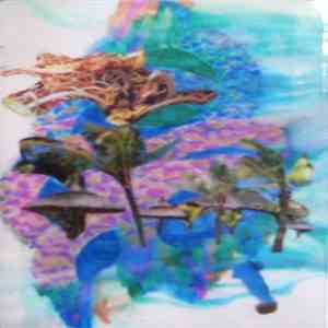 Blue Sabbath Black Fiji - Metronopig mp3 album