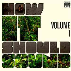 Damu The Fudgemunk - How It Should Sound Volume 1 mp3 album