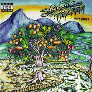Harrynaps - Ya Can't Tell 'Em mp3 album