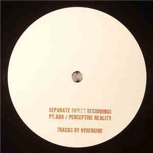 Hydergine - Perceptive Reality mp3 album
