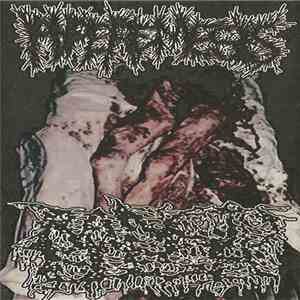 Hyperemesis / Rancid Flesh - Hyperemesis / Rancid Flesh mp3 album