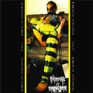 In The Age Of Terminal Static - Bumblefuck Hivegrinder mp3 album