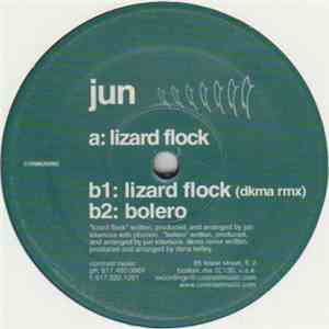 Jun - Lizard Flock mp3 album