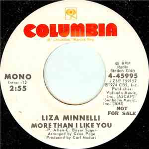 Liza Minnelli - More Than I Like You mp3 album