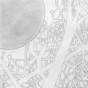 Marjen - Under the Warmth of a Grey Sun mp3 album