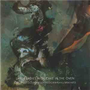 Nurse With Wound - Large Ladies With Cake In The Oven mp3 album