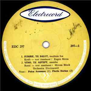 Orchestra Electrecord - Iubire, Te Salut mp3 album
