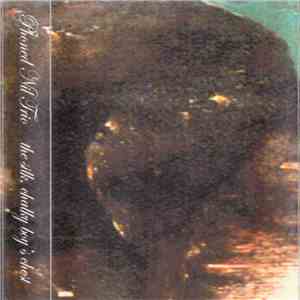 Phoned Nil Trio - The Silk Chalky Boy's Chest mp3 album