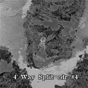 Potabilizadora / Melanocetus Murrayi / Funeral Mongoloids / Colico - 4 Way Split Cdr #4 mp3 album