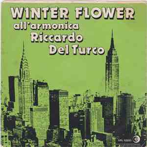 Riccardo Del Turco - Winter Flower mp3 album