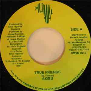 Skibu - True Friends mp3 album