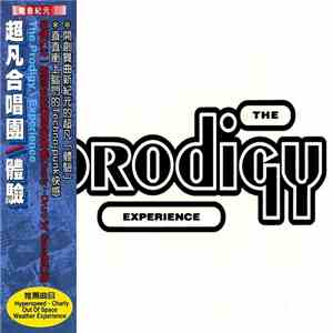 The Prodigy - Experience mp3 album