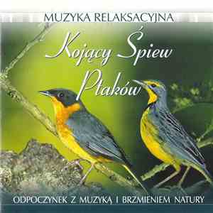 Unknown Artist - Muzyka Relaksacyjna - Kojący Śpiew Ptaków mp3 album