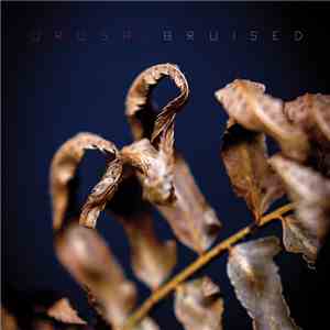 Urusai - Bruised mp3 album