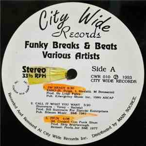 Various - Funky Breaks & Beats mp3 album