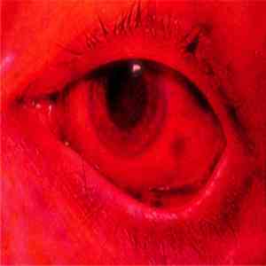 Absolute Zero  - Life Is Painful Nullity mp3 album