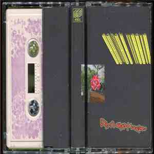 Amethyst Deceiver - Echo's Weave mp3 album