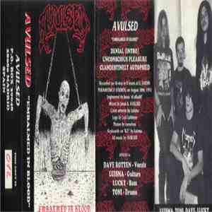 Avulsed - Embalmed In Blood mp3 album
