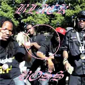 Black Boss - Hood Stories mp3 album
