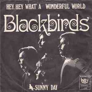 Blackbirds  - Hey, Hey, What A Wonderful World mp3 album