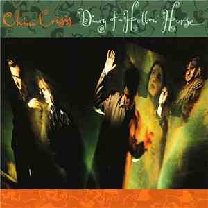 China Crisis - Diary Of A Hollow Horse mp3 album