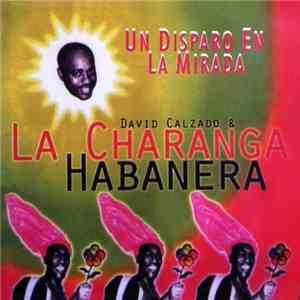 David Calzado & La Charanga Habanera - Un Disparo En La Mirada mp3 album