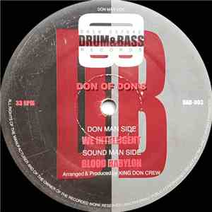 Don Of Don's - We Intelligent / Blood Babylon mp3 album