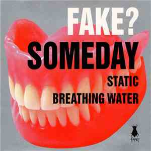 Fake? - Someday mp3 album