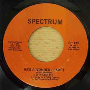 Lily Fields - He's A Wonder mp3 album