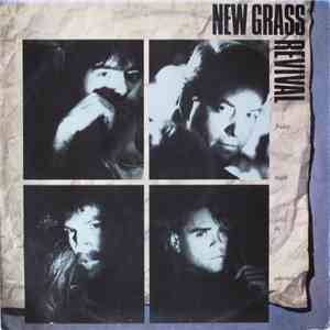 New Grass Revival - Friday Night In America mp3 album