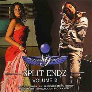 NY - Split Endz Volume 2 mp3 album