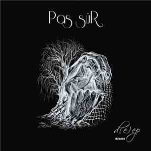 Pas sûR - D(e)ep mp3 album