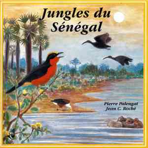 Pierre Palengat / Jean C. Roché - Jungles Du Sénégal / Jungles Of Senegal mp3 album
