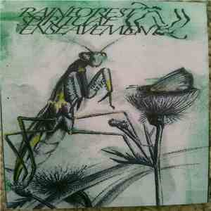 Rainforest Spiritual Enslavement - Green Amulet Crafts Supernatural Qualities mp3 album